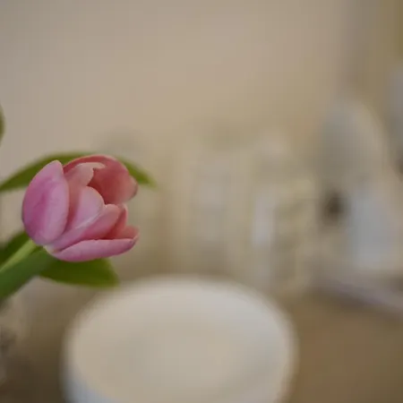 Siracusa Holidays Bed & Breakfast