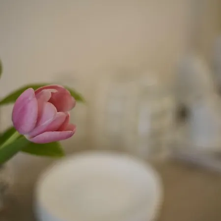 Siracusa Holidays Bed and Breakfast Συρακούσες
